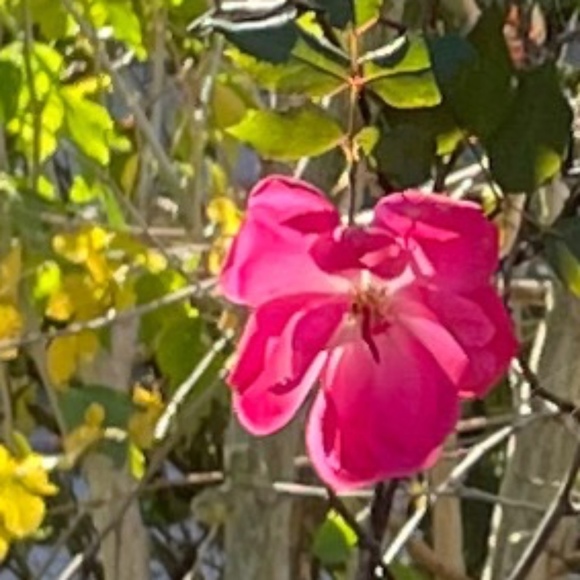tc2228887771111